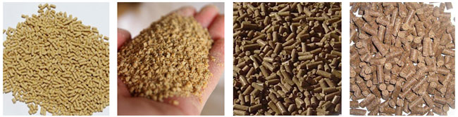 animal feed production line